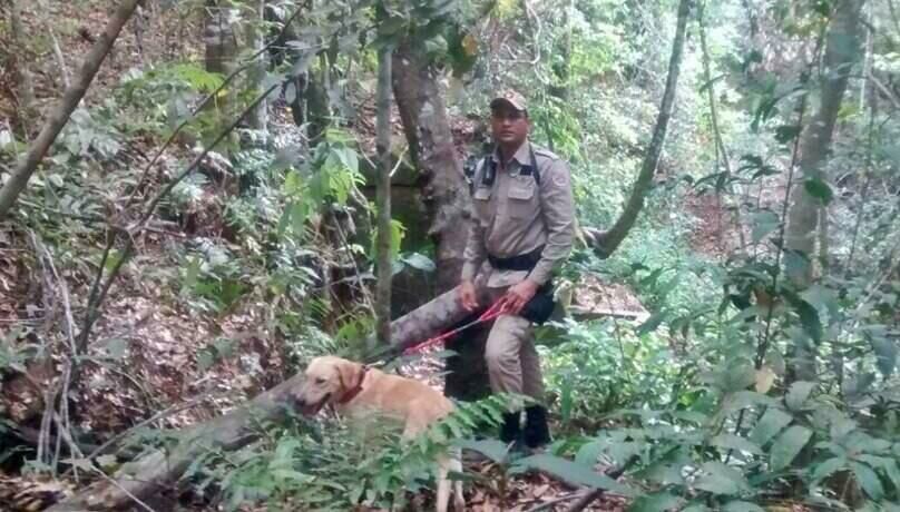 Imagem de compartilhamento para o artigo Peão de fazenda de Alcinópolis desaparece após tomar banho em cachoeira da MS Todo dia